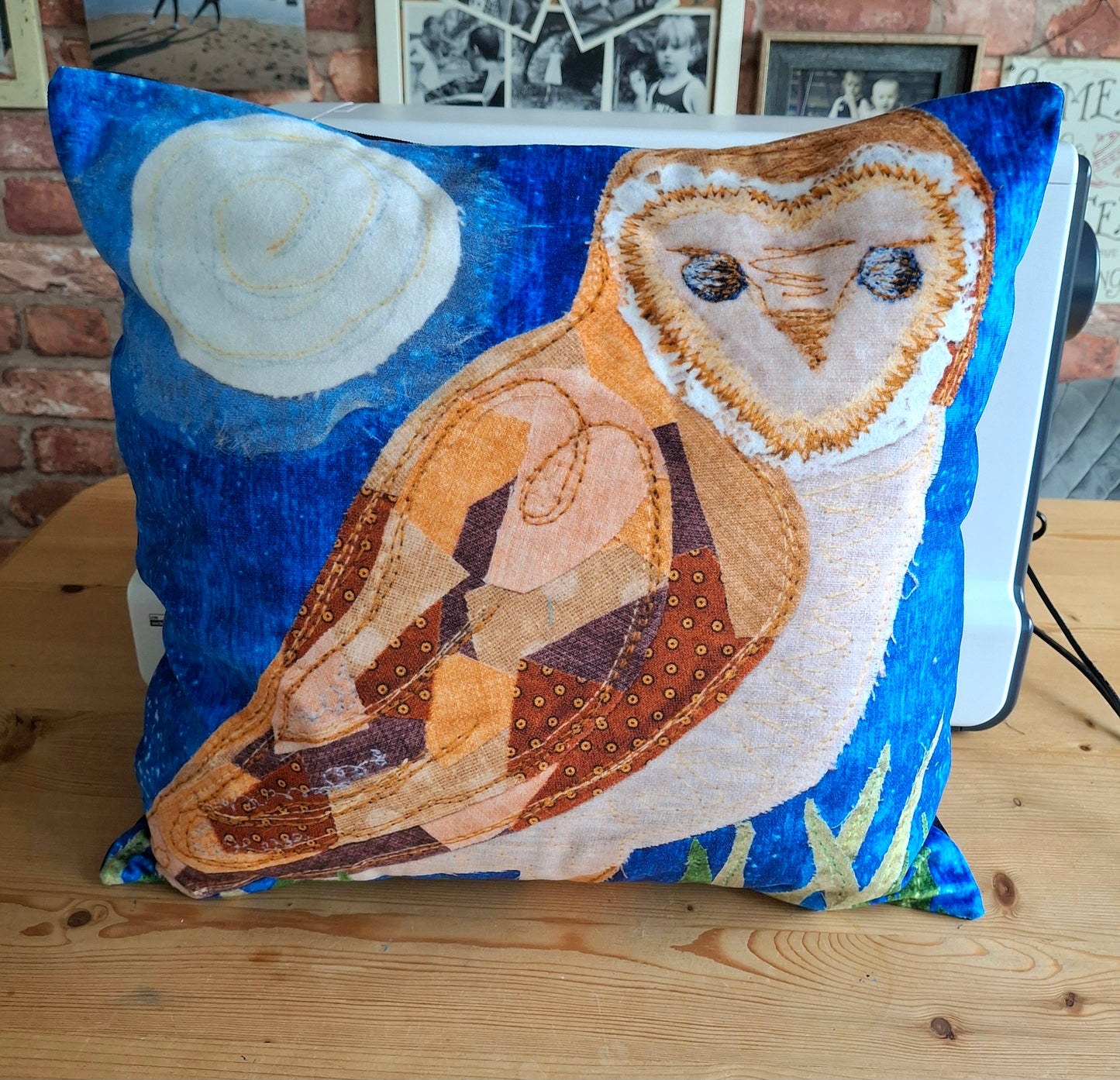 Merlin Owl Velvet Cushion