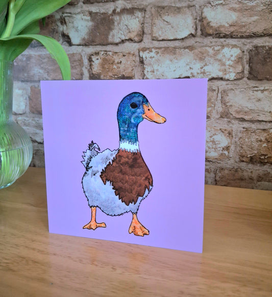 Darcie Duck Greetings Card